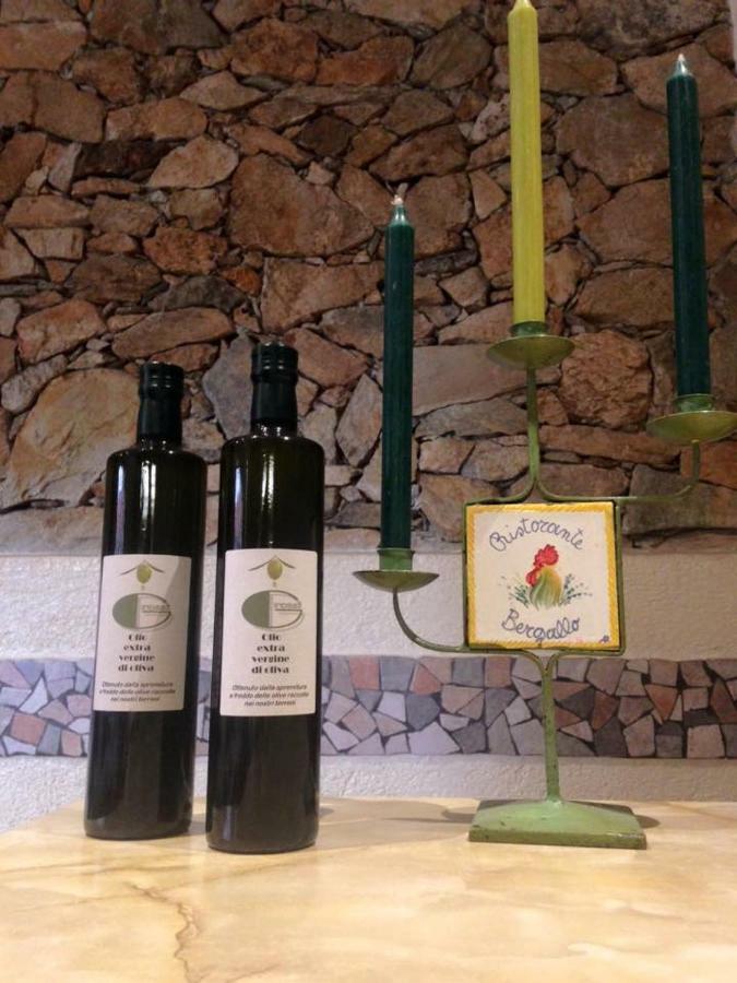 Tovo San Giacomo Albergo Ristorante Bergallo מראה חיצוני תמונה